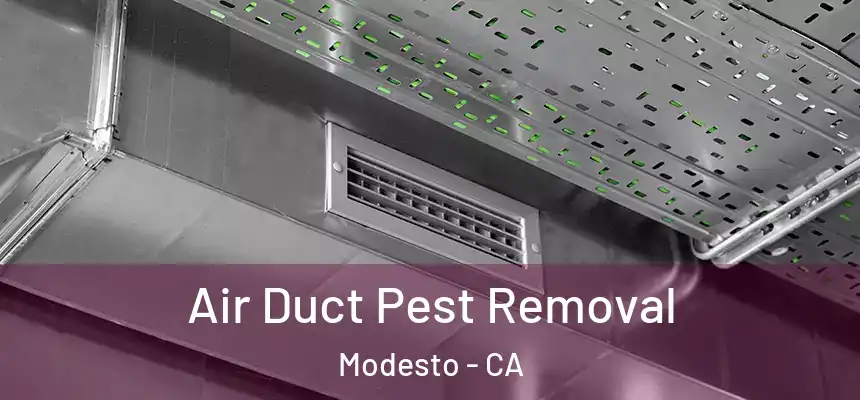Air Duct Pest Removal Modesto - CA