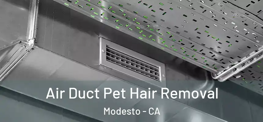 Air Duct Pet Hair Removal Modesto - CA