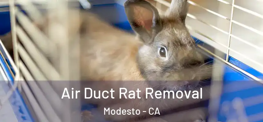 Air Duct Rat Removal Modesto - CA