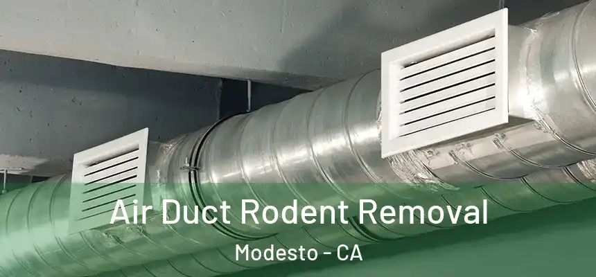Air Duct Rodent Removal Modesto - CA