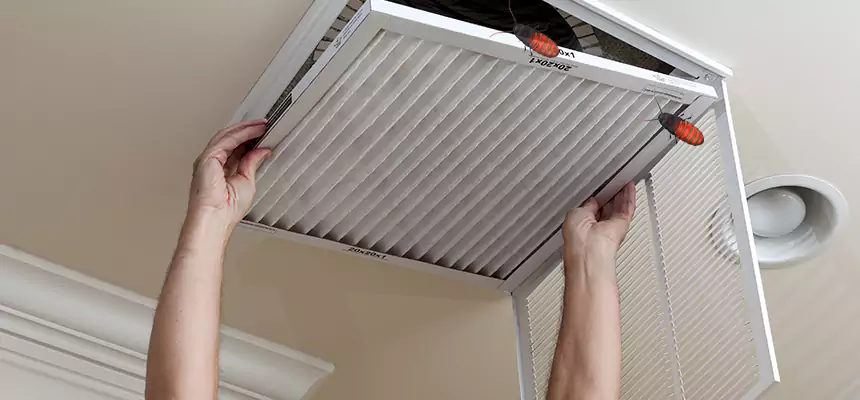 Our Insect Removal from Air Ducts Services in Modesto, CA