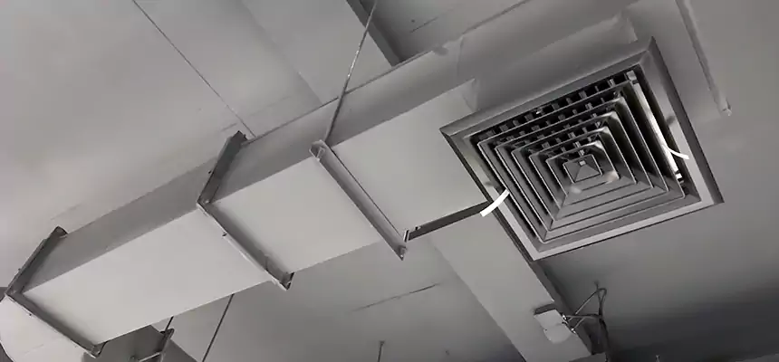 Our Pest Removal From Ducts Services in Modesto, CA