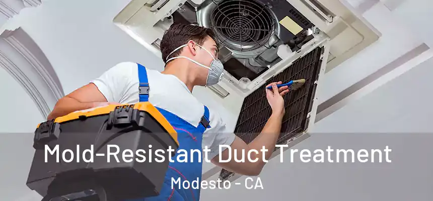 Mold-Resistant Duct Treatment Modesto - CA