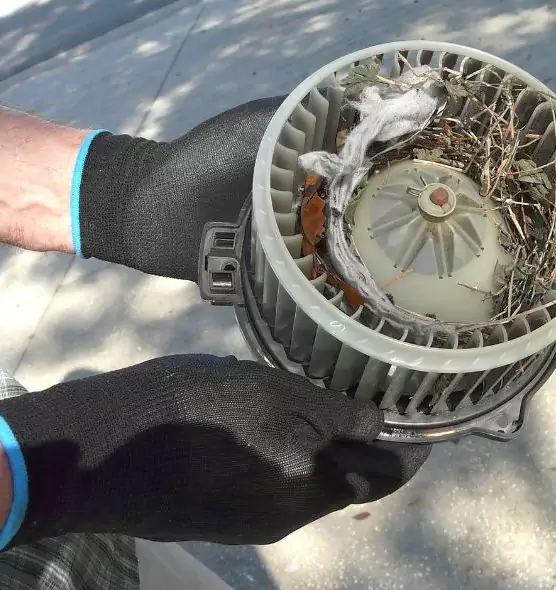 About Air Duct Mice Removal in Modesto, CA