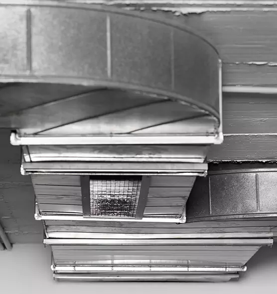 Professional Air Duct Pest Removal in Modesto, CA