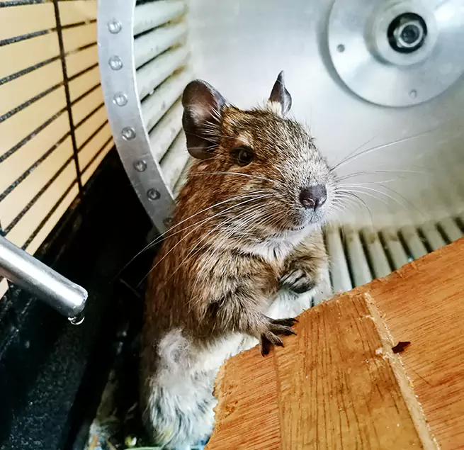 Why Homeowners & Businesses Trust Us Modesto, CA